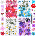 146Pcs Dried Pressed Flowers for Crafts, Xinxinran Dry Flowers Kit for Resin by Unknown
