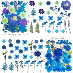 MIKIYA 94Pcs Blue Dried Pressed Flowers - Image 5