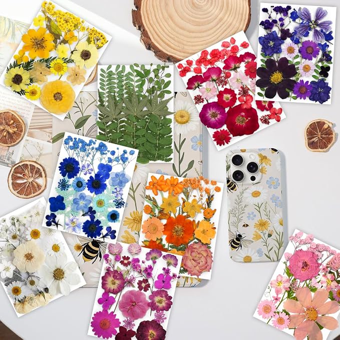 Bulk 410Pcs 11 Packs Mixed Real Natural Dried Pressed Flowers, Leaves & - Image 2