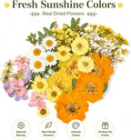 Dried Pressed Flowers for Resin, Scrapbooking, Soap Candle Making, DIY - Image 7