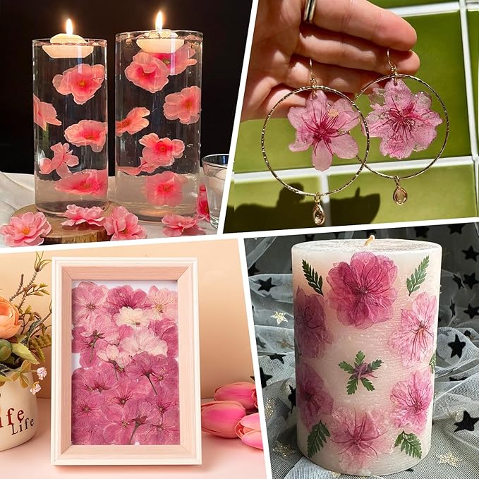 101 PCS Pressed Cherry Blossom for Crafts, Dried Sakura Flowers for Soap Candle - Image 5