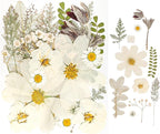 50Pcs Dried Pressed Flowers Real Pressed Flowers Natural Dry Leaves Bulk Mixed - Image 6