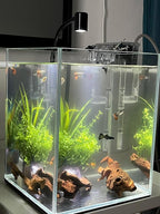 YZHZOM Small Natural Driftwood for Aquarium Styling Carefully Selected Natural - Image 5