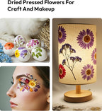Dried Flowers, Resiners 100Pcs Pressed Flowers - Image 9