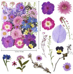 40 Pcs Purple Dried Pressed Flowers Real Natural - Image 2