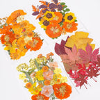100 Pcs Fall Dried Pressed Flowers - Image 8