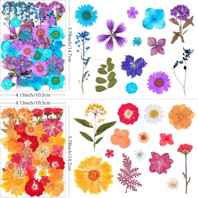 141Pcs Dried Pressed Flowers for Crafts, Xinxinran Dry Flower Kit for Resin - Image 2