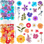 141Pcs Dried Pressed Flowers for Crafts, Xinxinran Dry Flower Kit for Resin - Image 2