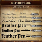 Red Feather Quill Pen and Ink Set - Image 5