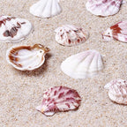 KISSITTY 500 Grams Dyed Scallop Beach Sea Shell Beads by KISSITTY