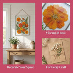 Assorted Dried Flower Petals and Leaves Set - Image 5