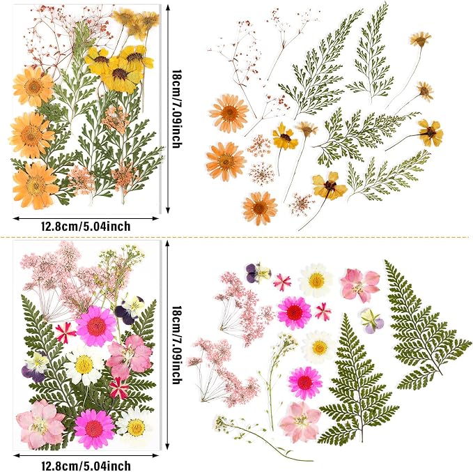 Nuanchu Dried Pressed Flowers for Craft Resin Real Flat Dried Flowers Leaves - Image 3