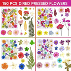 150 Pcs Pressed Flowers Bulk Dried Flower - Image 2