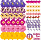 70 Pcs 11kinds Edible Dried Pressed Flowers - Image 3