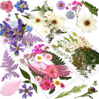 Augshy Dried Pressed Flowers Dry Leaves, Scrapbooking by Augshy