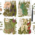 110+PCS Pressed Flowers for Resin Molds, Colorful-H | Real Dried Flower Leaves by nisetten