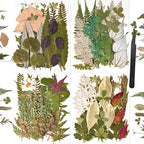 110+PCS Pressed Flowers for Resin Molds, Colorful-H | Real Dried Flower Leaves by nisetten
