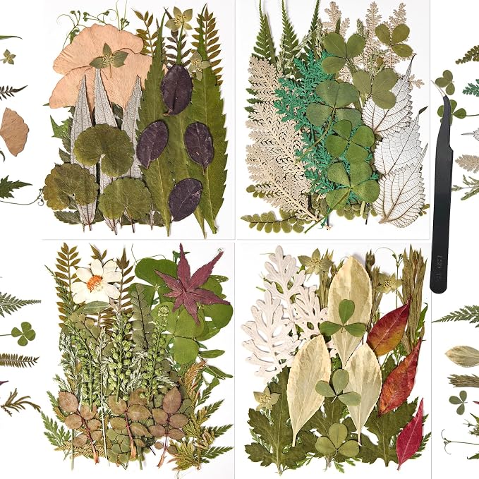 110+PCS Pressed Flowers for Resin Molds, Colorful-H | Real Dried Flower Leaves by nisetten