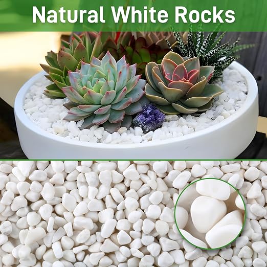 Mulctun 12Lb White Rocks for Plants, 1/4"-3/4" White Pebbles, Decorative Stones - Image 7