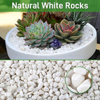 Mulctun 12Lb White Rocks for Plants, 1/4"-3/4" White Pebbles, Decorative Stones - Image 7