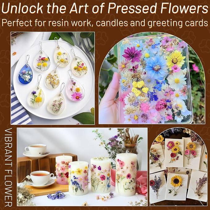 Dried Pressed Flowers for Resin, Real Pressed Flowers Dry Leaves Bulk Natural - Image 2