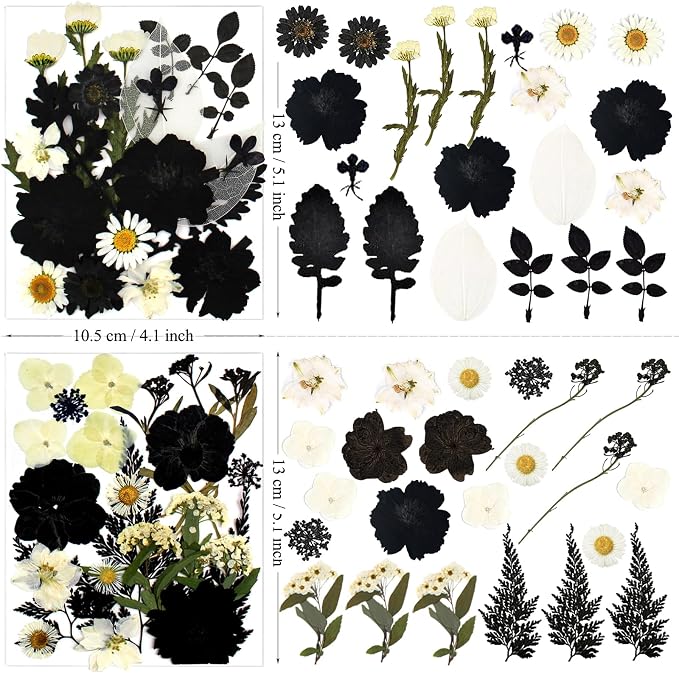 132Pcs Black Pressed Dried Flowers and Butterfly - Image 6