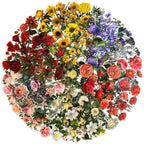 240Pcs Vintage Nature Flower Botanical Clear Stickers | Waterproof, Aesthetic by YOKSAS