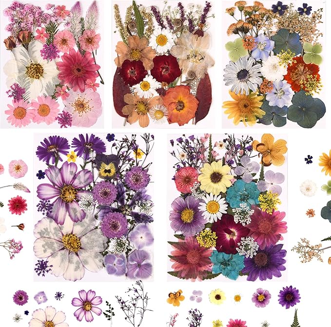 5 Packs of 140 Pressed Dried Flowers and Leaves by Cokosing