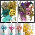 Vignee Real Dried Pressed Leaf Flowers-Multiple Colorful Pressed Flowers Daisies - Image 7