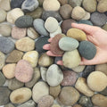 FANTIAN 5 lbs Pebbles for Plants, 1-2 Inch Decorative River Rocks for Plants by FANTIAN-GardeningMakesLifeBetter