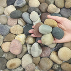 FANTIAN 5 lbs Pebbles for Plants, 1-2 Inch Decorative River Rocks for Plants by FANTIAN-GardeningMakesLifeBetter