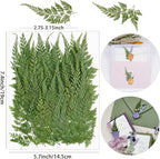 50Pcs Green Leaves Dried Pressed Flowers - Image 2