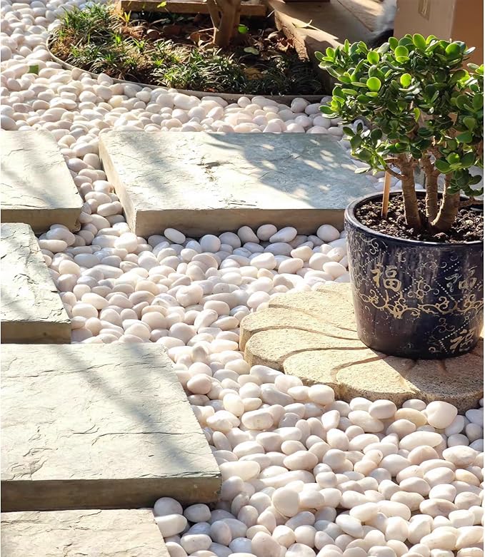 FANTIAN 5 lbs White Pebbles for Indoor Plants, Polished River Rocks, 1.5-2.5 - Image 7