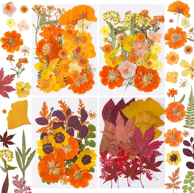 100 Pcs Fall Dried Pressed Flowers by Unknown