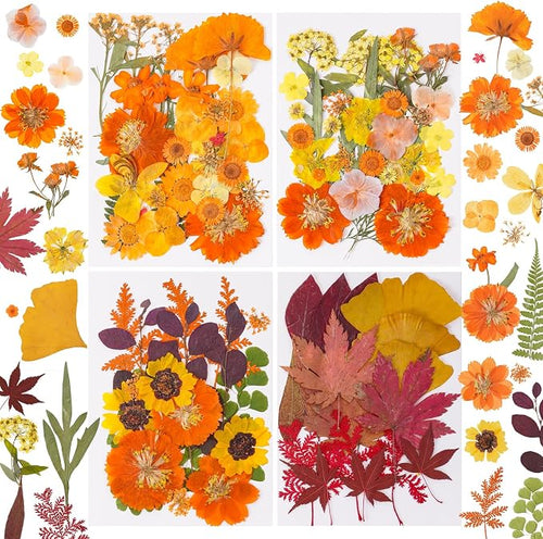 100 Pcs Fall Dried Pressed Flowers by Unknown