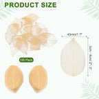 uxcell 100 Pcs Light Orange Skeleton Leaves - Image 2
