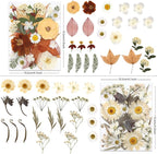 LUXEEASE 100P Vintage Cream Brown Dried Pressed Flowers | Earthy warm palette - Image 2