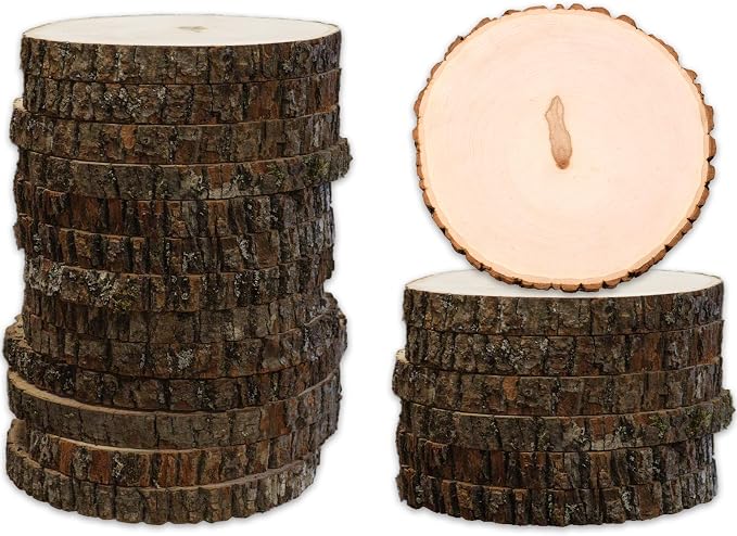 Wilson 20 Pack Basswood Round Rustic Wood Slice, Sanded Side, 9-12" Diameter by Wilson