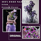MIKIYA 92Pcs Purple Black Pressed Dried Flowers - Image 2