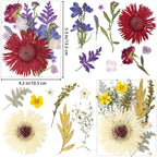 17 Types 30PCS Real Dried Pressed Flowers Bulk Dried Flower - Image 2