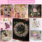 85Pcs Pink Dried Flowers for Crafts, Natural Pressed Flowers for Crafts Real - Image 5