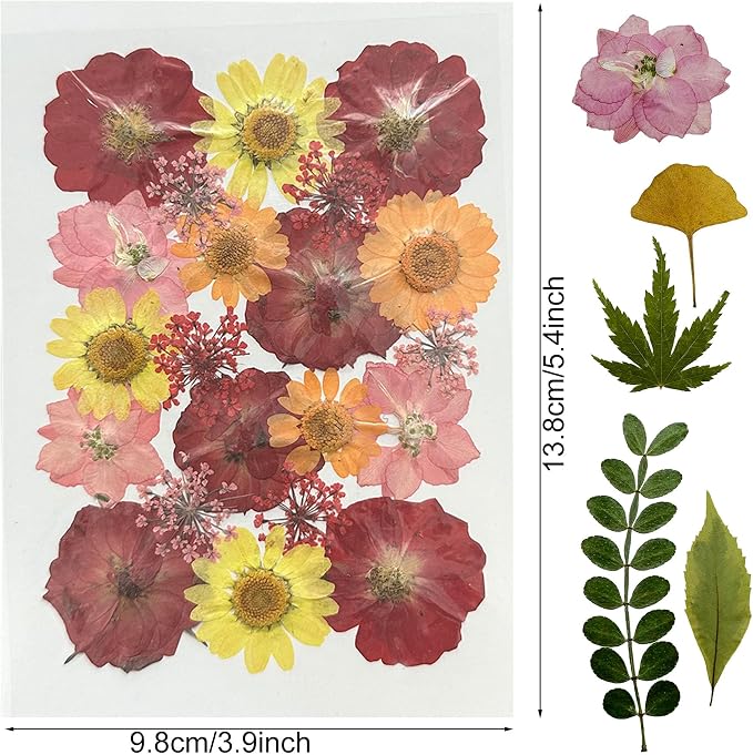 Woohome 78PCS Natural Dried Pressed Flowers and Natural Dried Pressed Leaves - Image 7