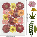 Woohome 78PCS Natural Dried Pressed Flowers and Natural Dried Pressed Leaves - Image 7