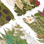 110+PCS Pressed Flowers for Resin Molds, Colorful-H | Real Dried Flower Leaves - Image 5