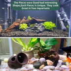 Hamiledyi 5 Pcs Driftwood Branches Aquarium Wood Decoration Natural Fish Tank - Image 2
