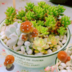 3pcs Resin Mushroom Miniature Fairy Garden Decoration Accessories Sculptures - Image 3