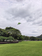 B2 Model Airplane Kite, Large Easy to Fly Kites Adults, 300FT String Reel - Image 5