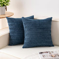 Aegero Pack of 2 Corduroy Decorative Throw Pillow Covers 22x22 Inch Soft by Unknown