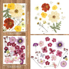 Nuanchu Dried Pressed Flowers for Crafts Resin Real Flat Dried Flowers Leaves - Image 3