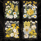 85 Pcs Dried Flowers for Crafts | Real Natural Dried Pressed Flowers in Golden - Image 4